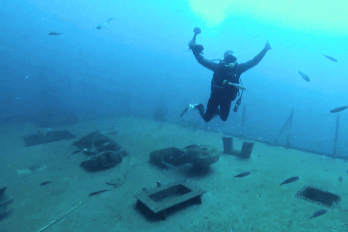 You are currently viewing Scuba diving in Portugal complete guide 2026