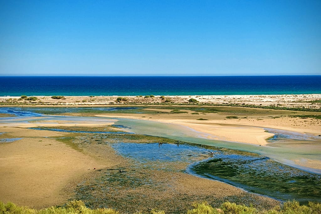 Co zobaczyć w Algarve park Ria Formosa