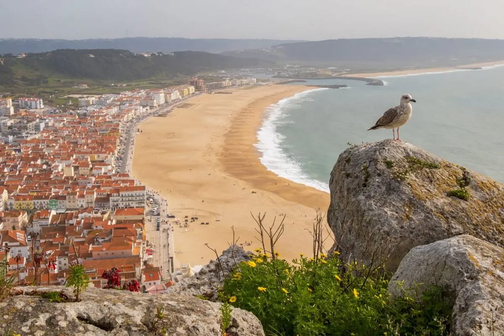 Nazaré Portugalia fale Atlantyku wycieczka z Lizbony