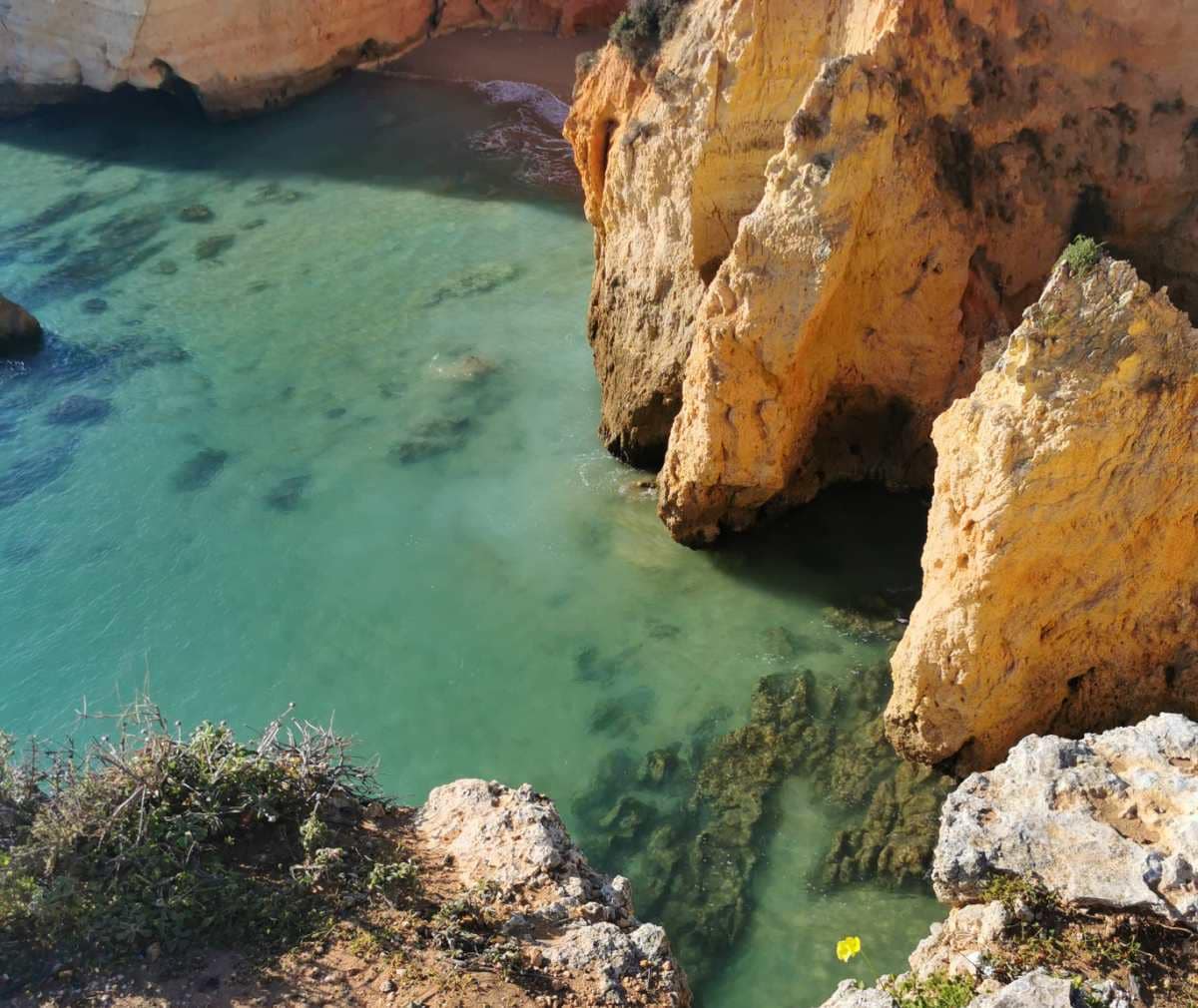 Algarve widok na turkusową wodę oceanu okolice Praia do Alemao Portimao