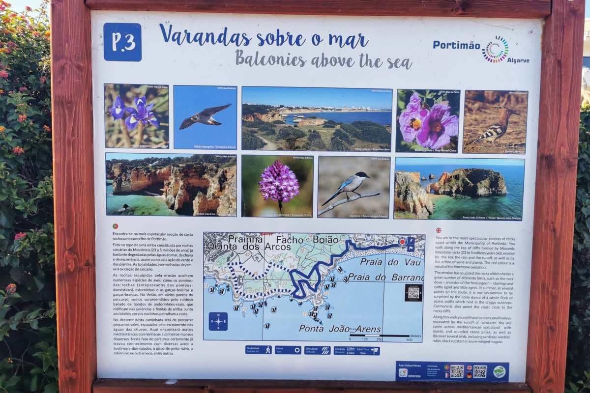 Portimao pieszy szlak numer 3 w Algarve trasa Portimão Praia do Aleman po klifach