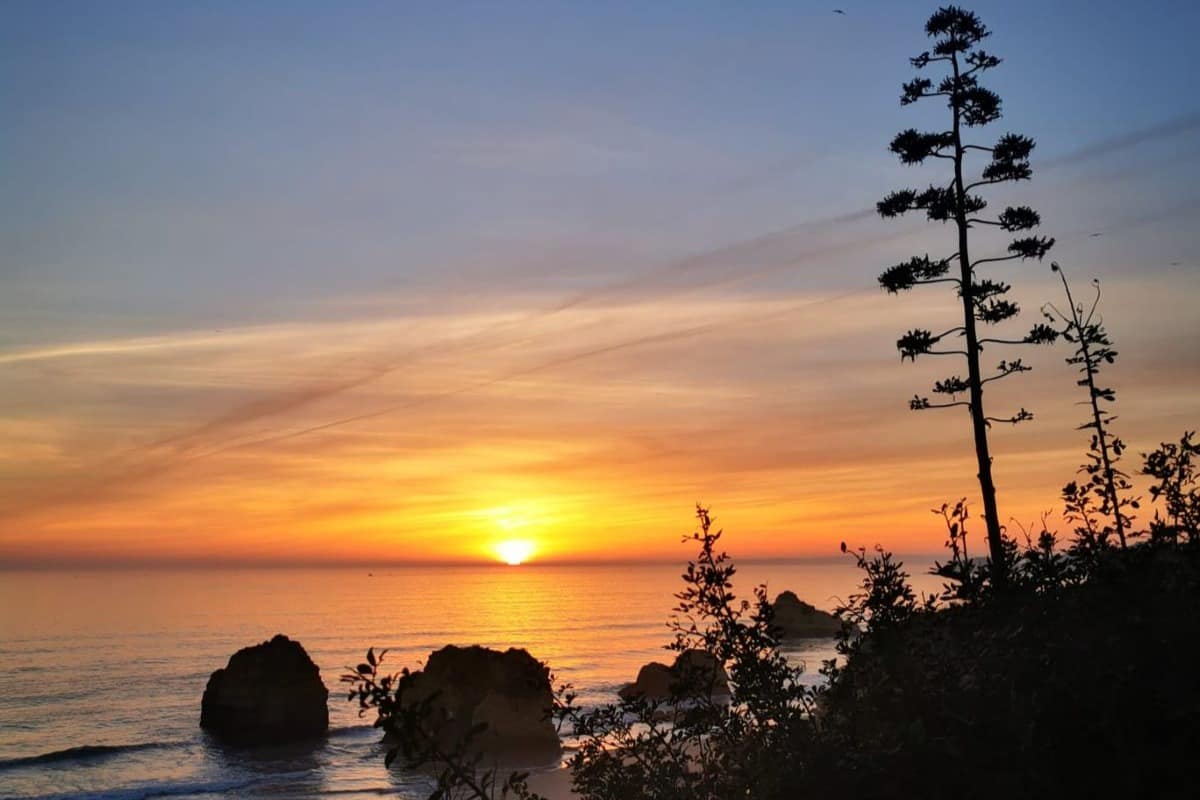 You are currently viewing The Algarve in a Nutshell