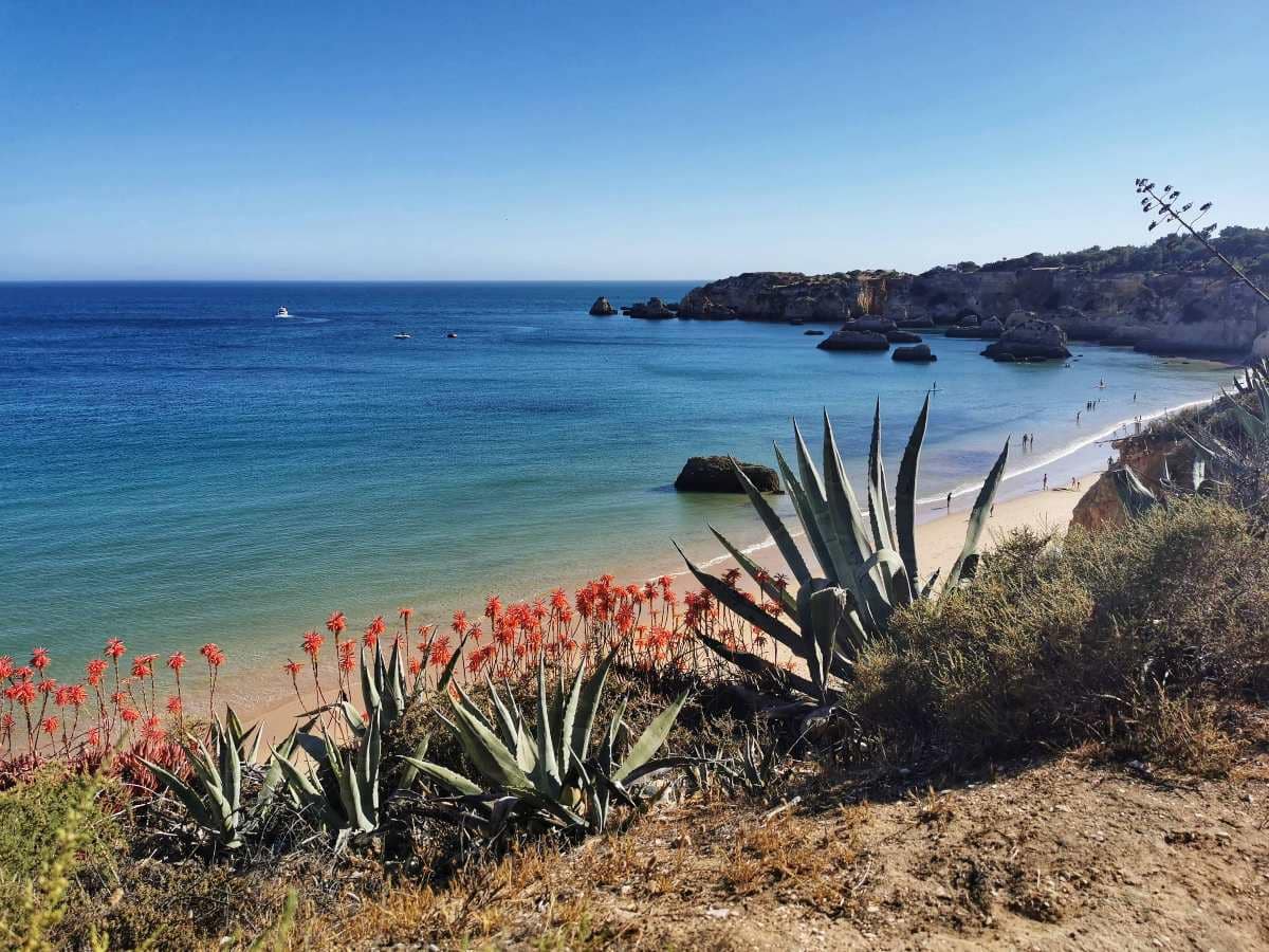 Algarve pieszy szlak po klifach przy Praia do Vau w Portimão widok na ocean