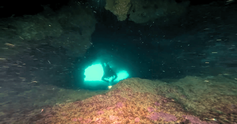 Scuba diving in Alvor reef, Algarve