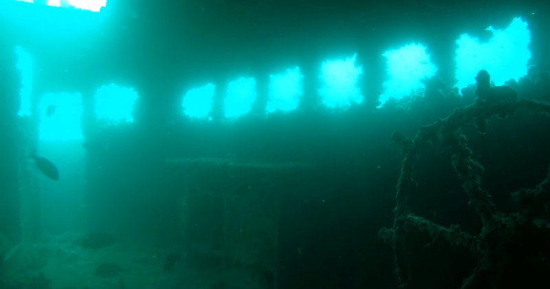 Inside the Ocean Revival wreck during a scuba dive in Portimão